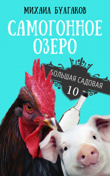 Самогонное озеро - Михаил Булгаков