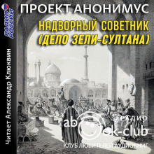 Надворный советник (Дело Зели-Султана) - Автор неизвестен