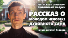 Рассказ о молодом человеке духовного сана - Роберт Стивенсон
