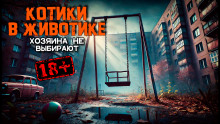 Котики в животике - Автор неизвестен