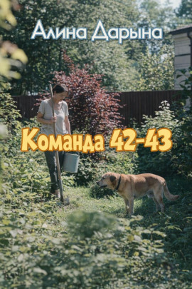 Команда 42-43 -                   Алина Дарьина
