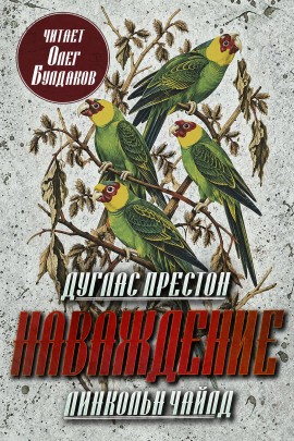 Наваждение - Линкольн Чайлд